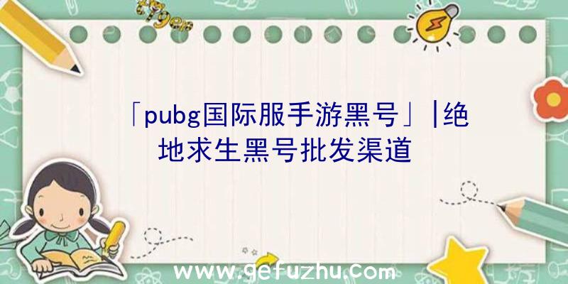 「pubg国际服手游黑号」|绝地求生黑号批发渠道